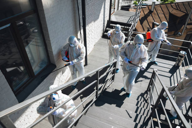 Best Commercial Mold Inspection  in El Paso, TX